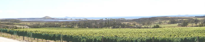 You don't need to tread the grapes to enjoy the wine!